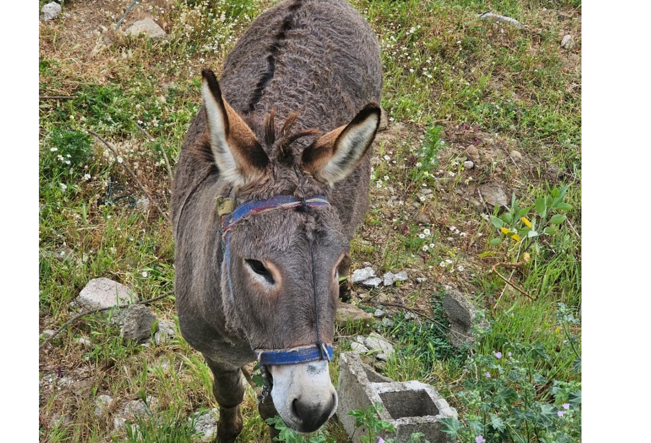 LATMOS MOUNTAIN SUMMIT CLIMB AND ANCIENT CITY TOUR - Fotoğraf 27