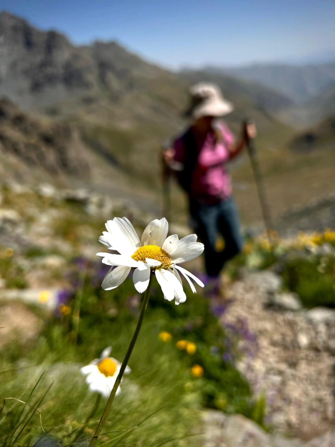 Kaçkar Mountain Summit - Fotoğraf 14