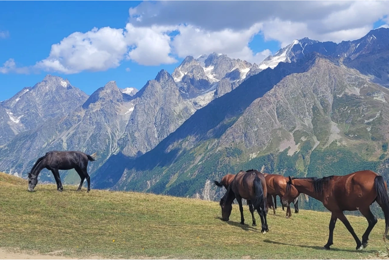 SVANETİ - MESTİA KAFKAS DAĞLARI TREKKİNG TURU - Fotoğraf 6