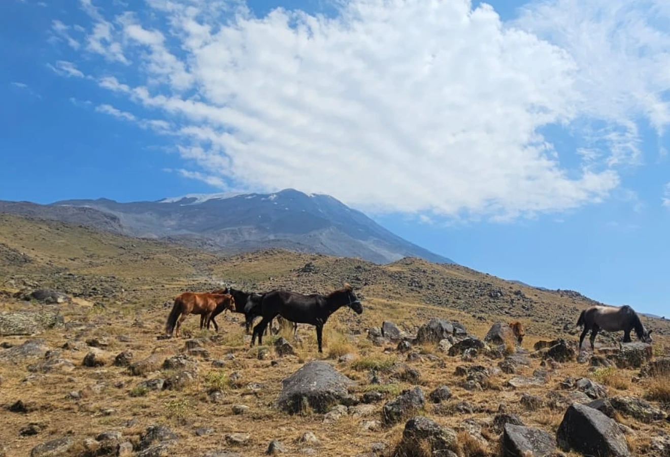 AĞRI DAĞI ZİRVE - Fotoğraf 5