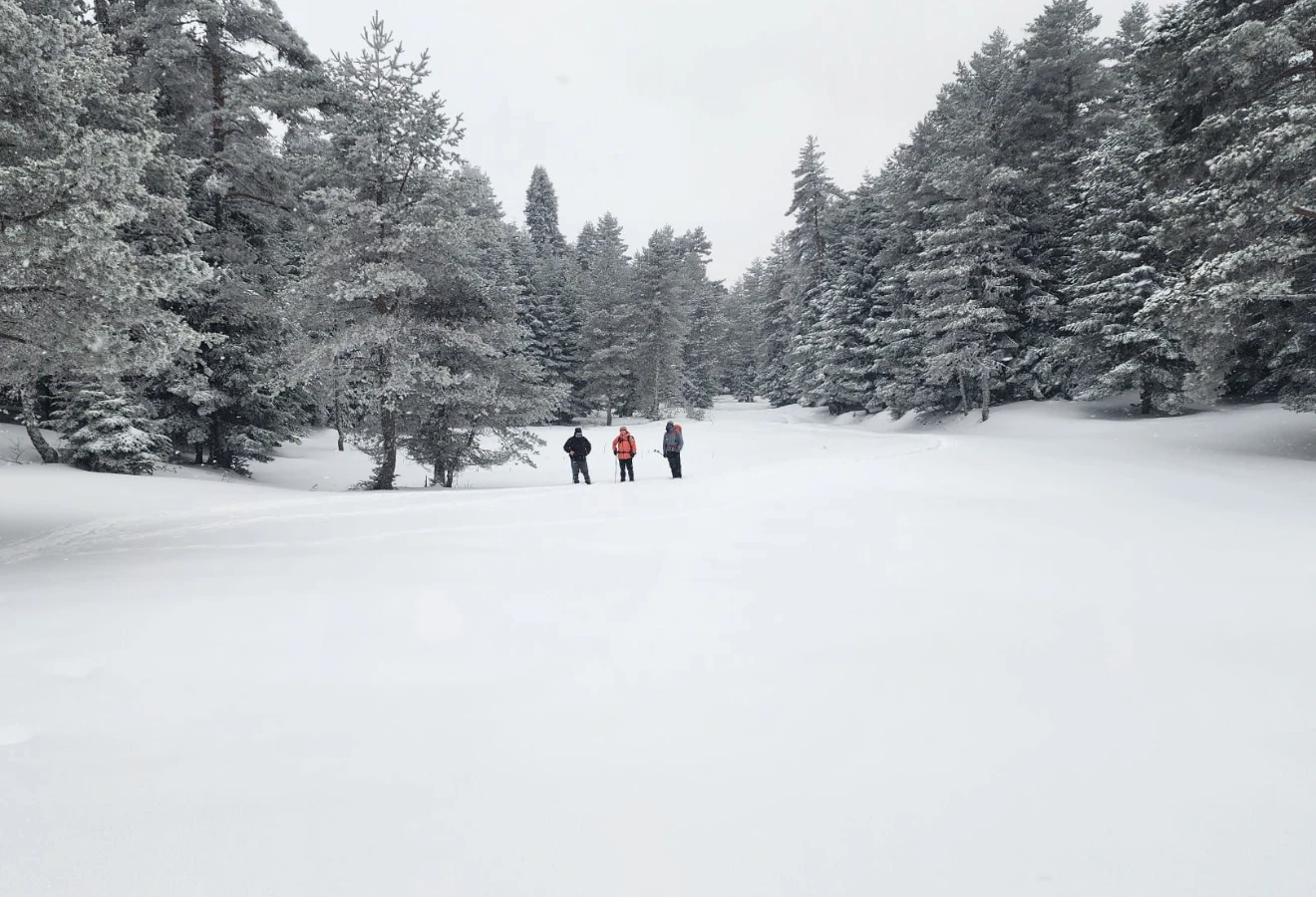 WHITE DREAM KUZUYAYLA KARTEPE SPORTIVE NATURE WALK - Fotoğraf 15