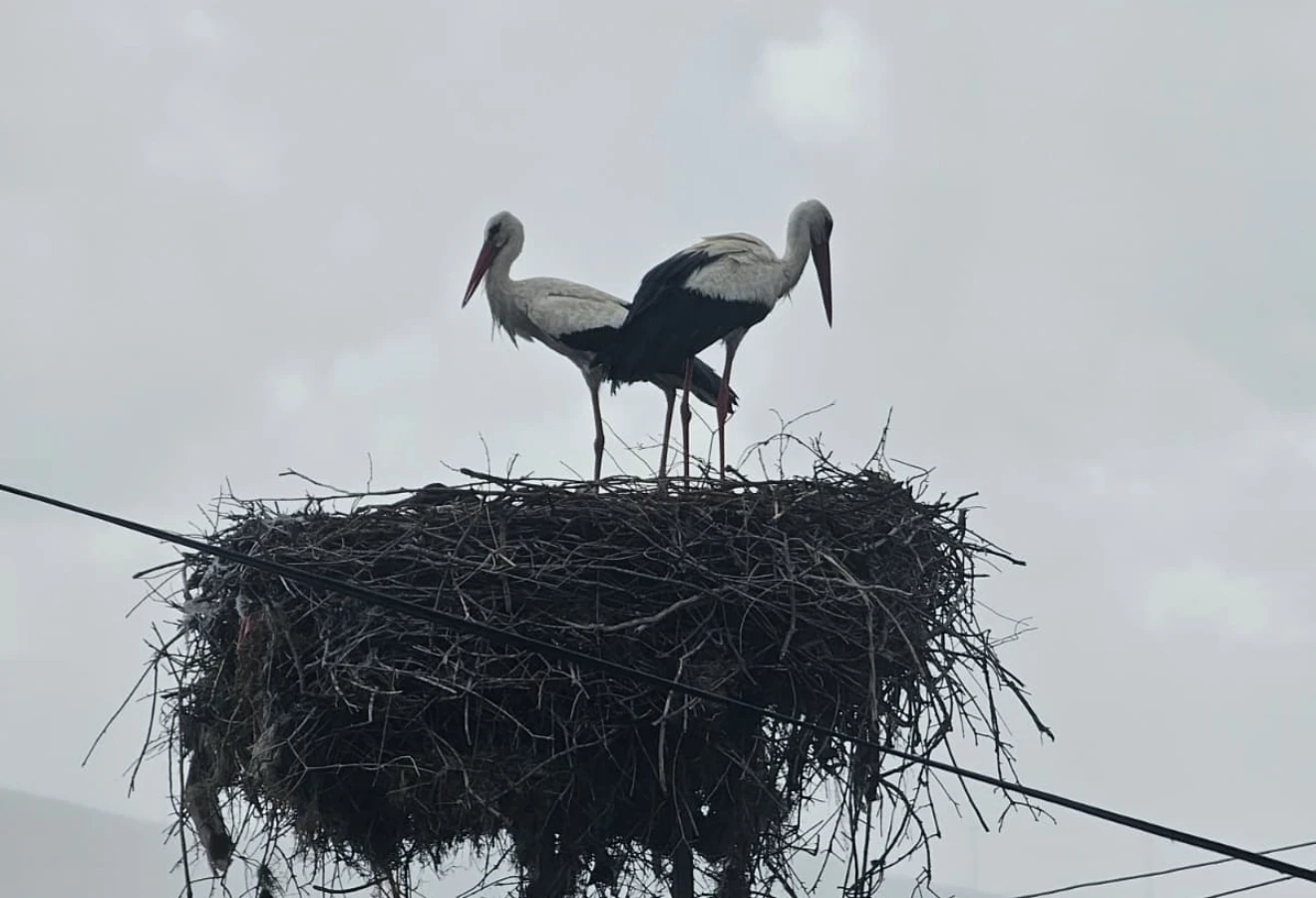 LATMOS MOUNTAIN SUMMIT CLIMB AND ANCIENT CITY TOUR - Fotoğraf 28
