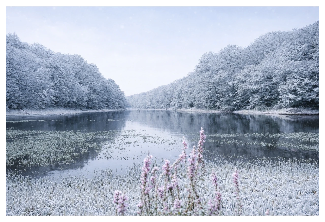 TREKKING IN BELGRAD FOREST - Fotoğraf 1
