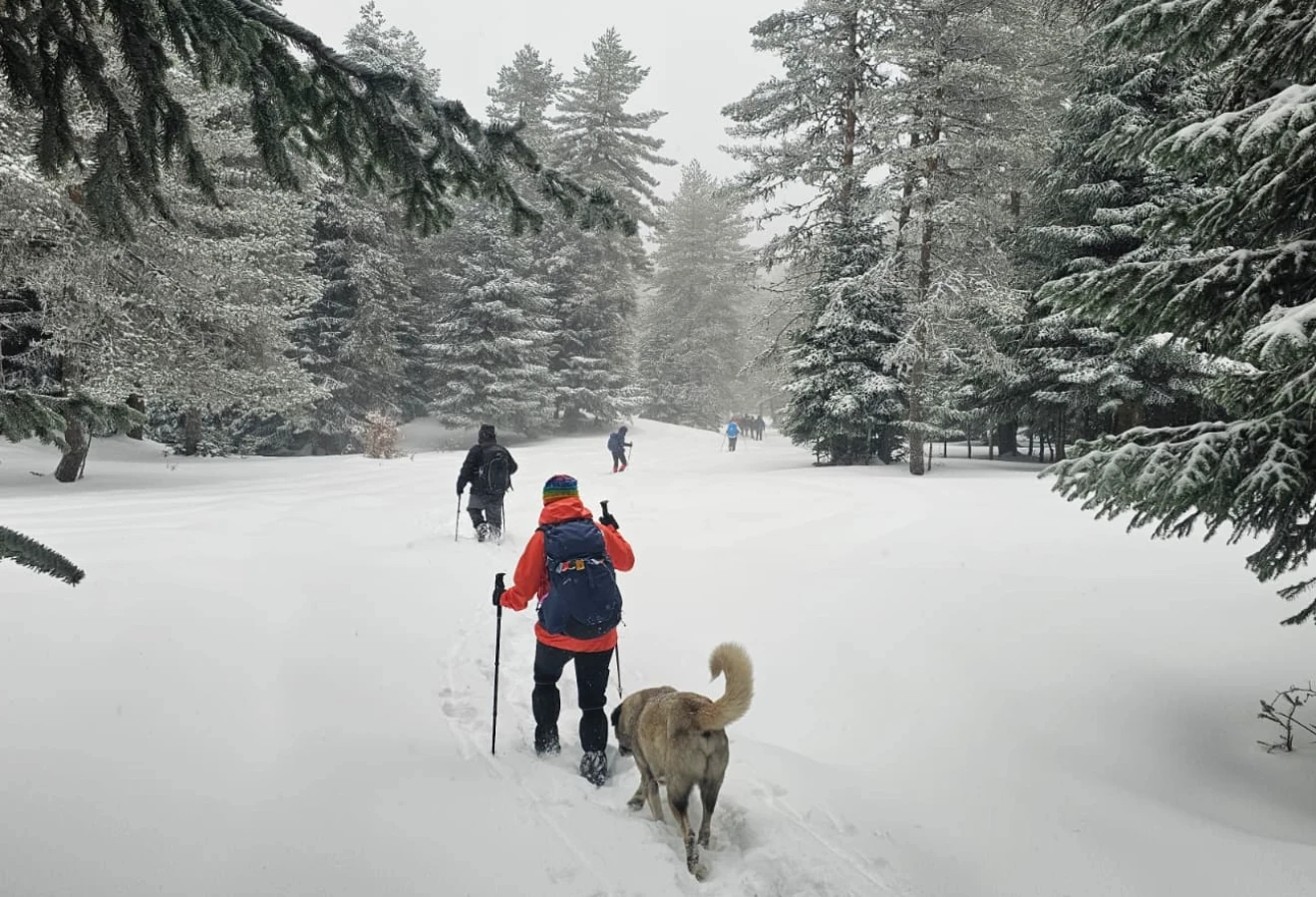 WHITE DREAM KUZUYAYLA KARTEPE SPORTIVE NATURE WALK - Fotoğraf 3