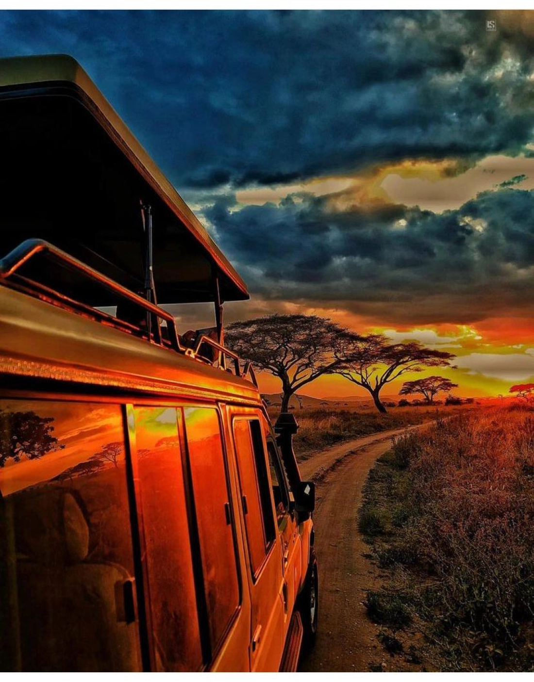 KİLİMANJARO DAĞI TIRMANIŞI, JEEP SAFARİ - Fotoğraf 4