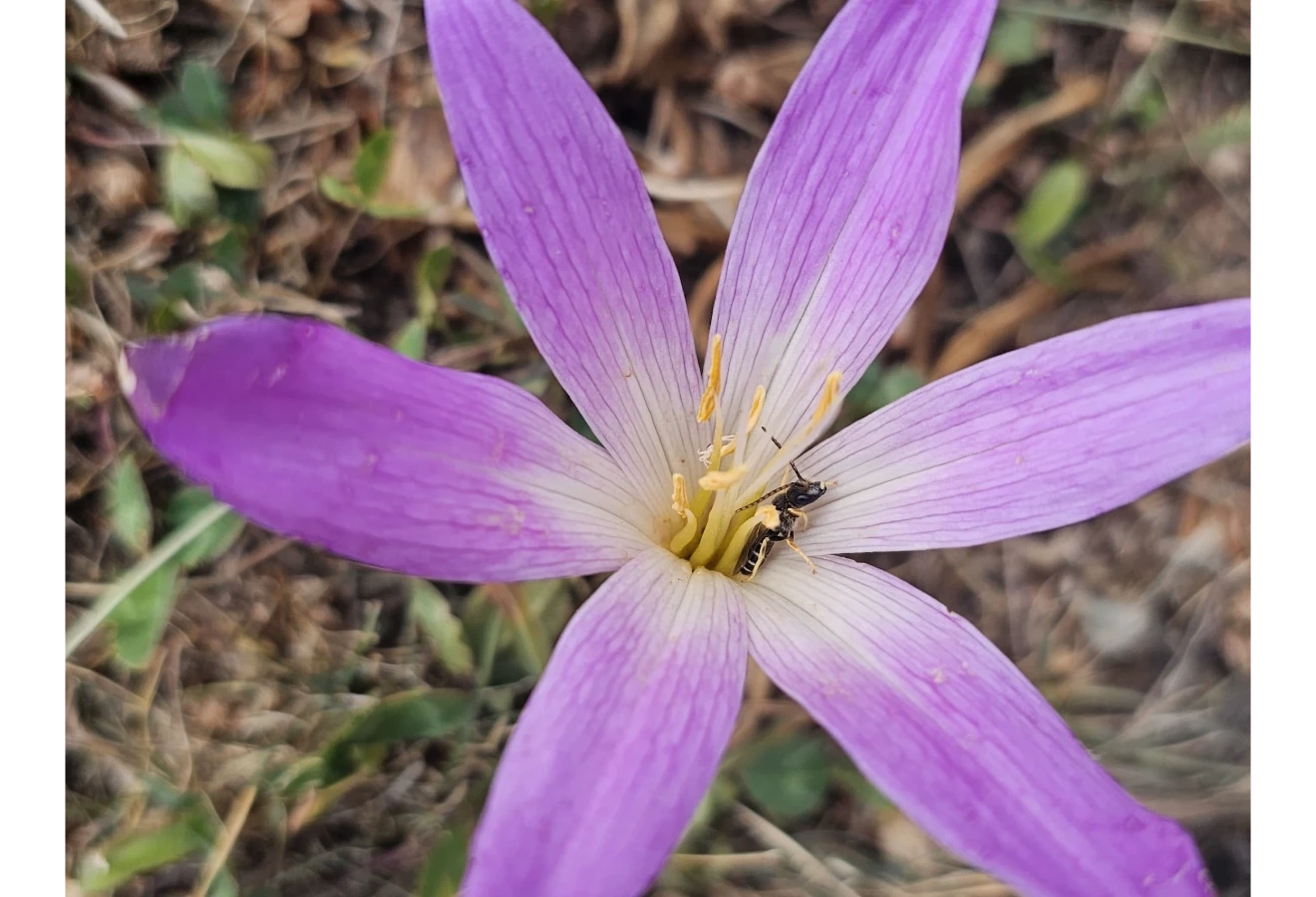 KAÇKAR YAYLALARI TREKKİNG TURU  - Fotoğraf 4