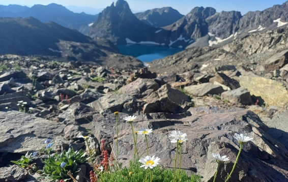 Kaçkar Mountain Summit