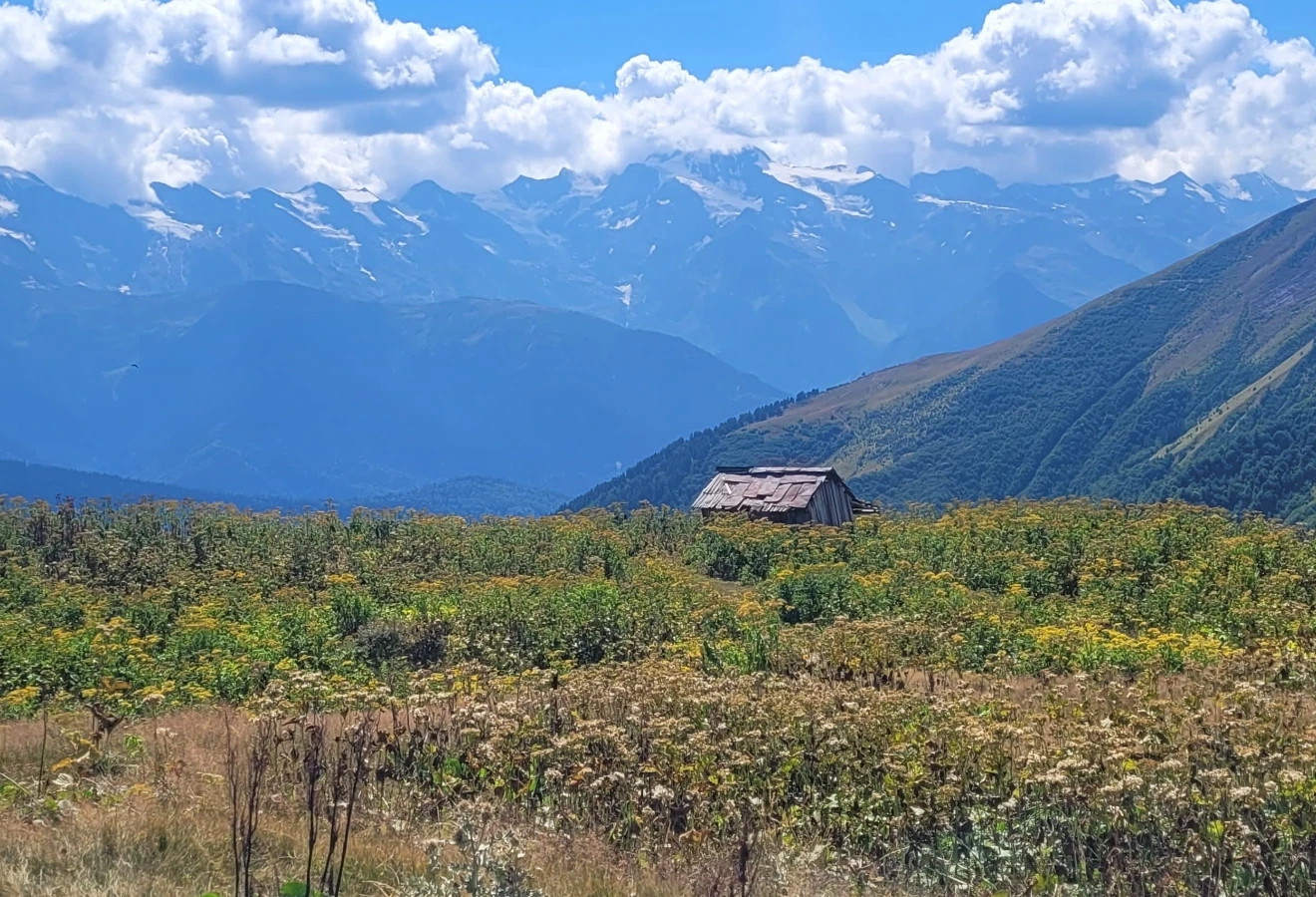 SVANETİ - MESTİA KAFKAS DAĞLARI TREKKİNG TURU - Fotoğraf 10