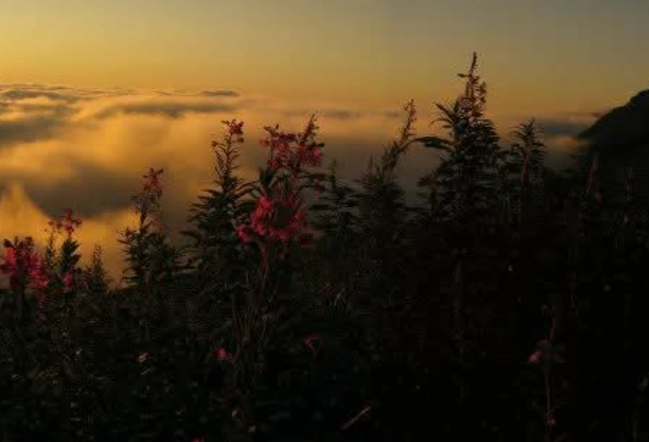 KARÇAL DAĞLARI KEŞİF ROTASI  - Fotoğraf 18