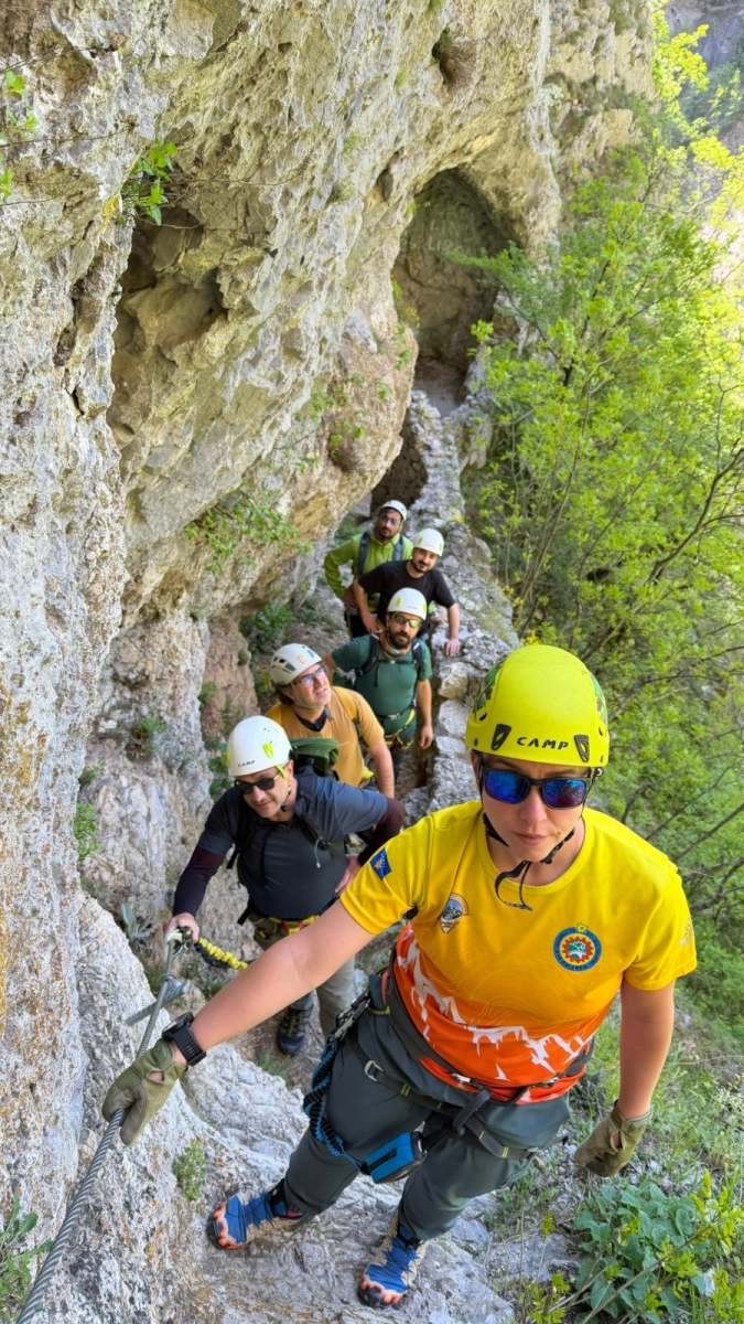 Thumbnail 29