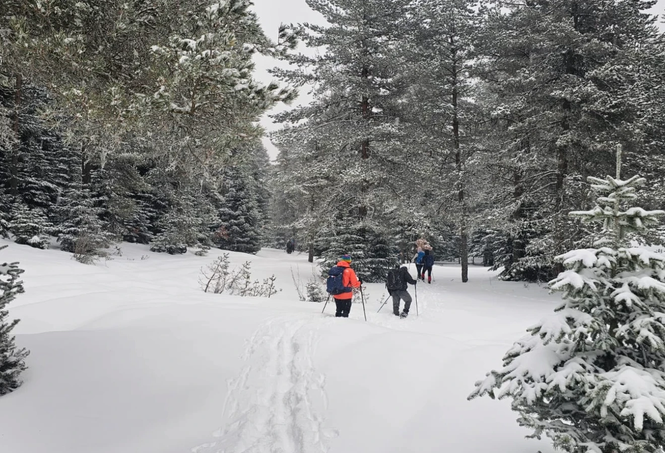 WHITE DREAM KUZUYAYLA KARTEPE SPORTIVE NATURE WALK - Fotoğraf 2