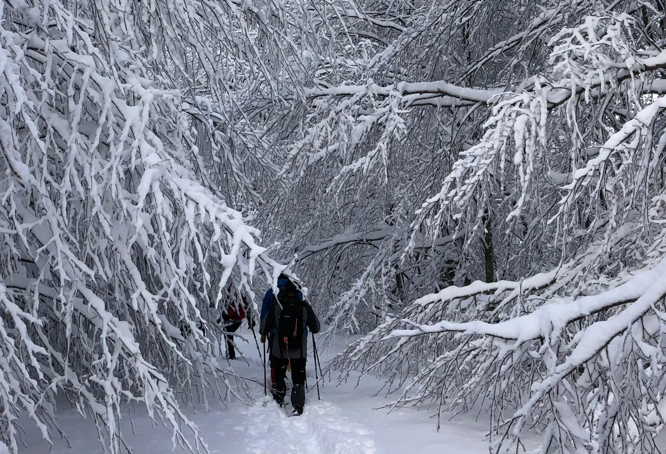 ERCUVA-İNÖNÜ-SAKLIYAYLA YAYLALAR GEÇİŞİ   - Fotoğraf 5