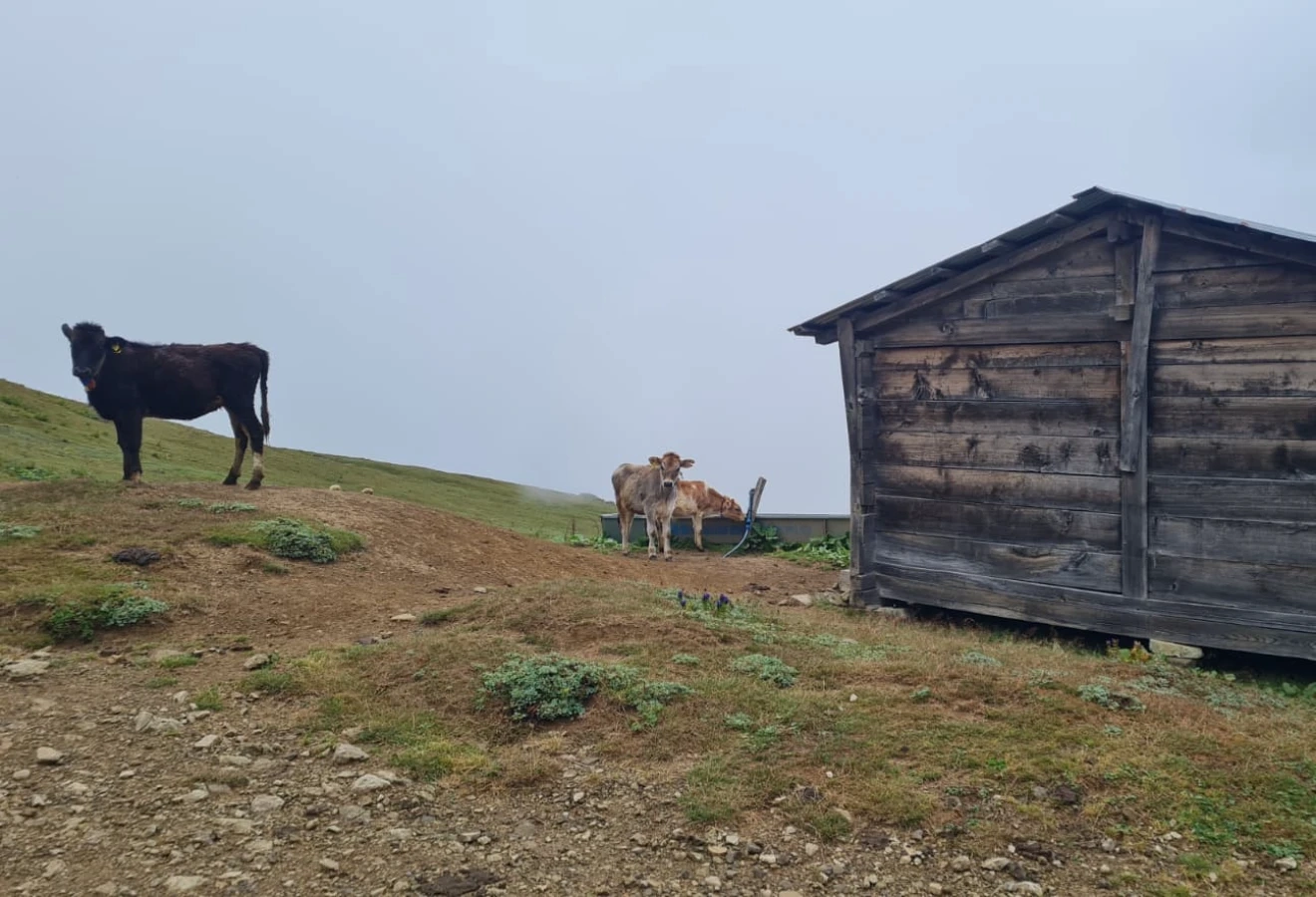 KARÇAL DAĞLARI KEŞİF ROTASI  - Fotoğraf 25