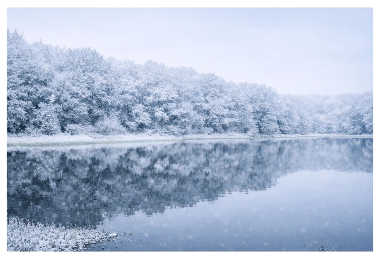 TREKKING IN BELGRAD FOREST - Fotoğraf 2