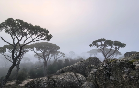 LATMOS MOUNTAIN SUMMIT CLIMB AND ANCIENT CITY TOUR.