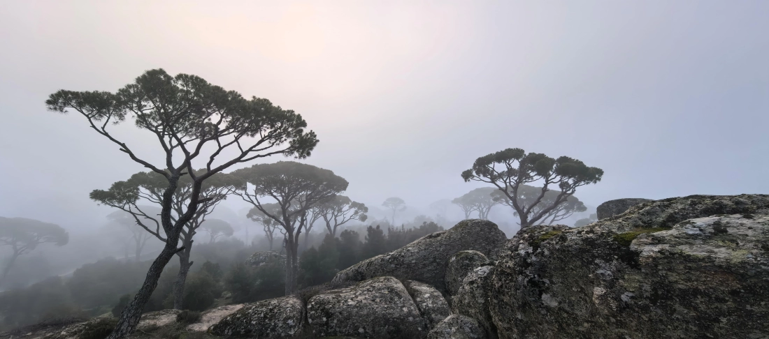 LATMOS MOUNTAIN SUMMIT CLIMB AND ANCIENT CITY TOUR. - Fotoğraf 1