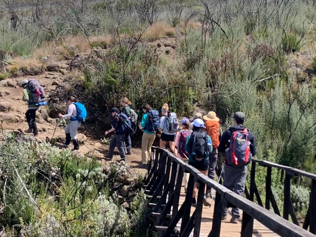 KİLİMANJARO DAĞI TIRMANIŞI, JEEP SAFARİ - Fotoğraf 7