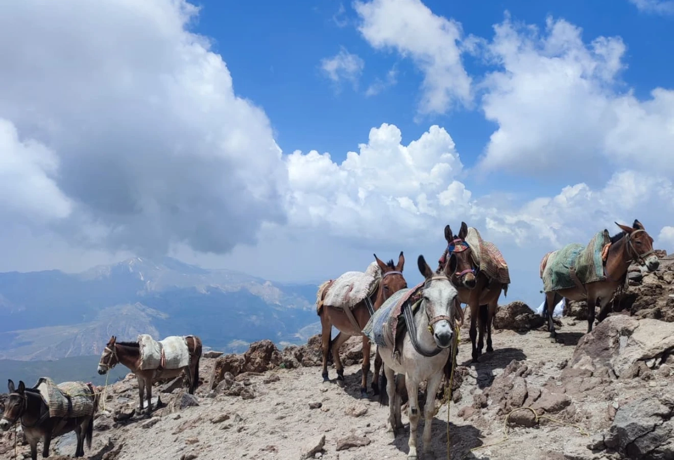 MOUNT DAMAVAND SUMMIT CLIMBING - Fotoğraf 13