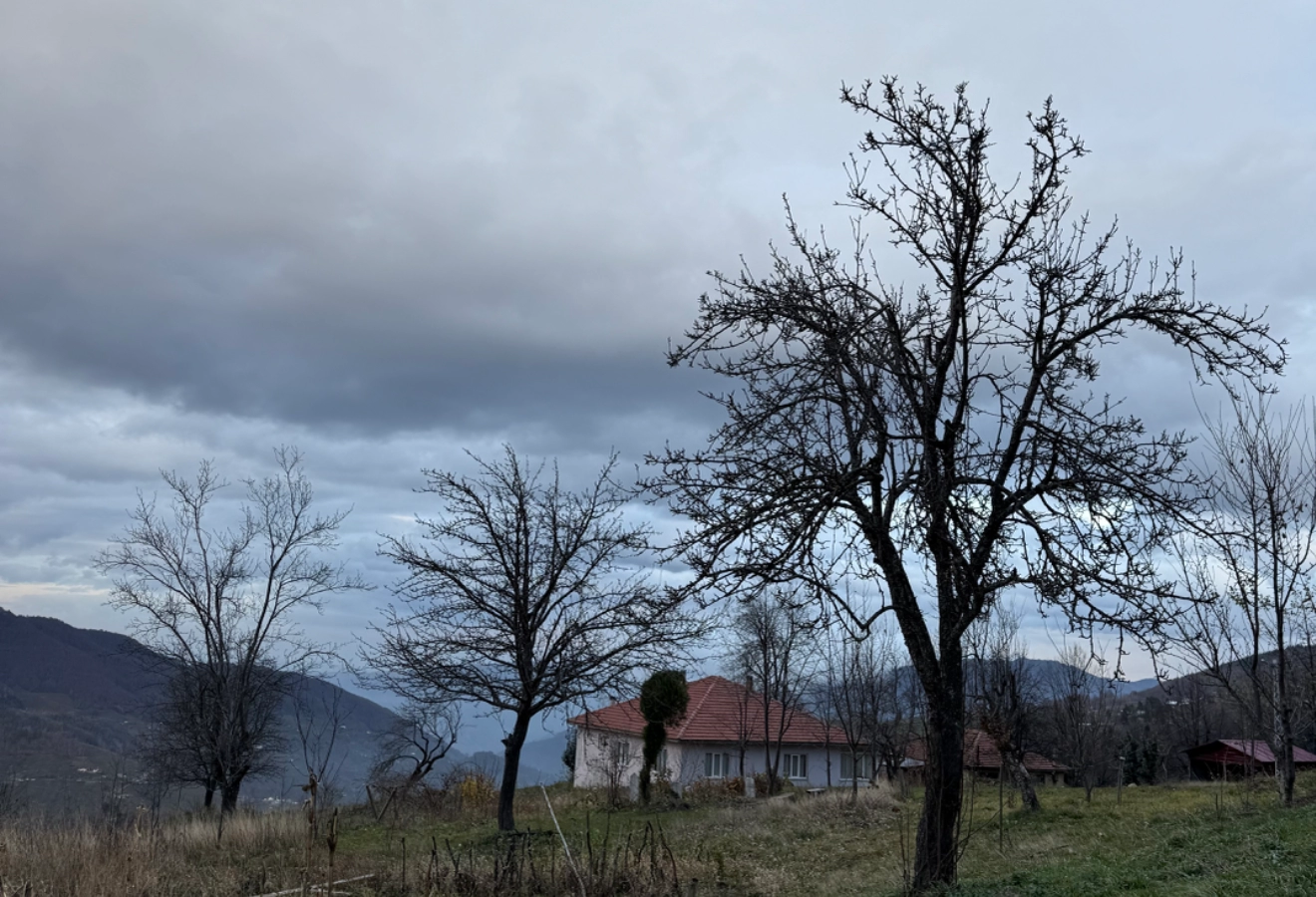YİĞİTALİ-SÜLEYMANİYE DOĞA YÜRÜYÜŞÜ - Fotoğraf 2