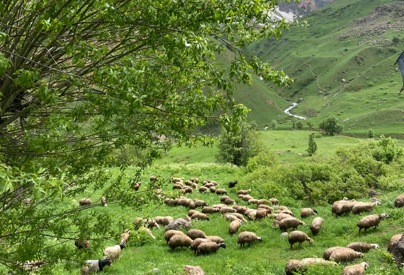 JOURNEY TO THE CULTURE AND GEOGRAPHY OF DERSIM - Fotoğraf 7