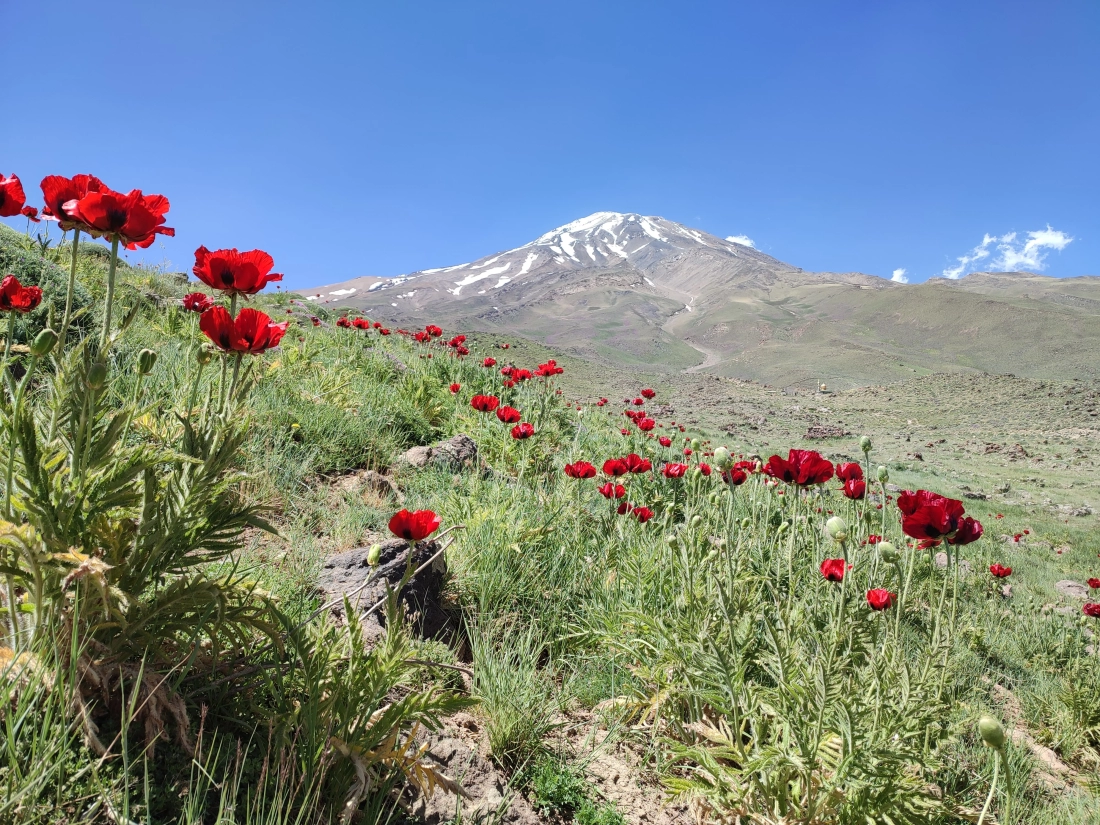 Mount Damavand Summit Climbing - Fotoğraf 2