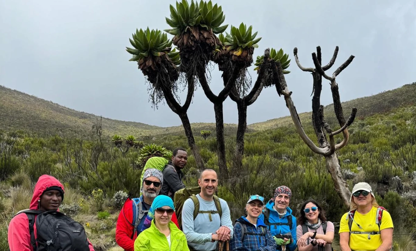 MOUNT KILIMANJARO CLIMBING, JEEP SAFARI, ZANZIBAR ISLAND - Fotoğraf 5