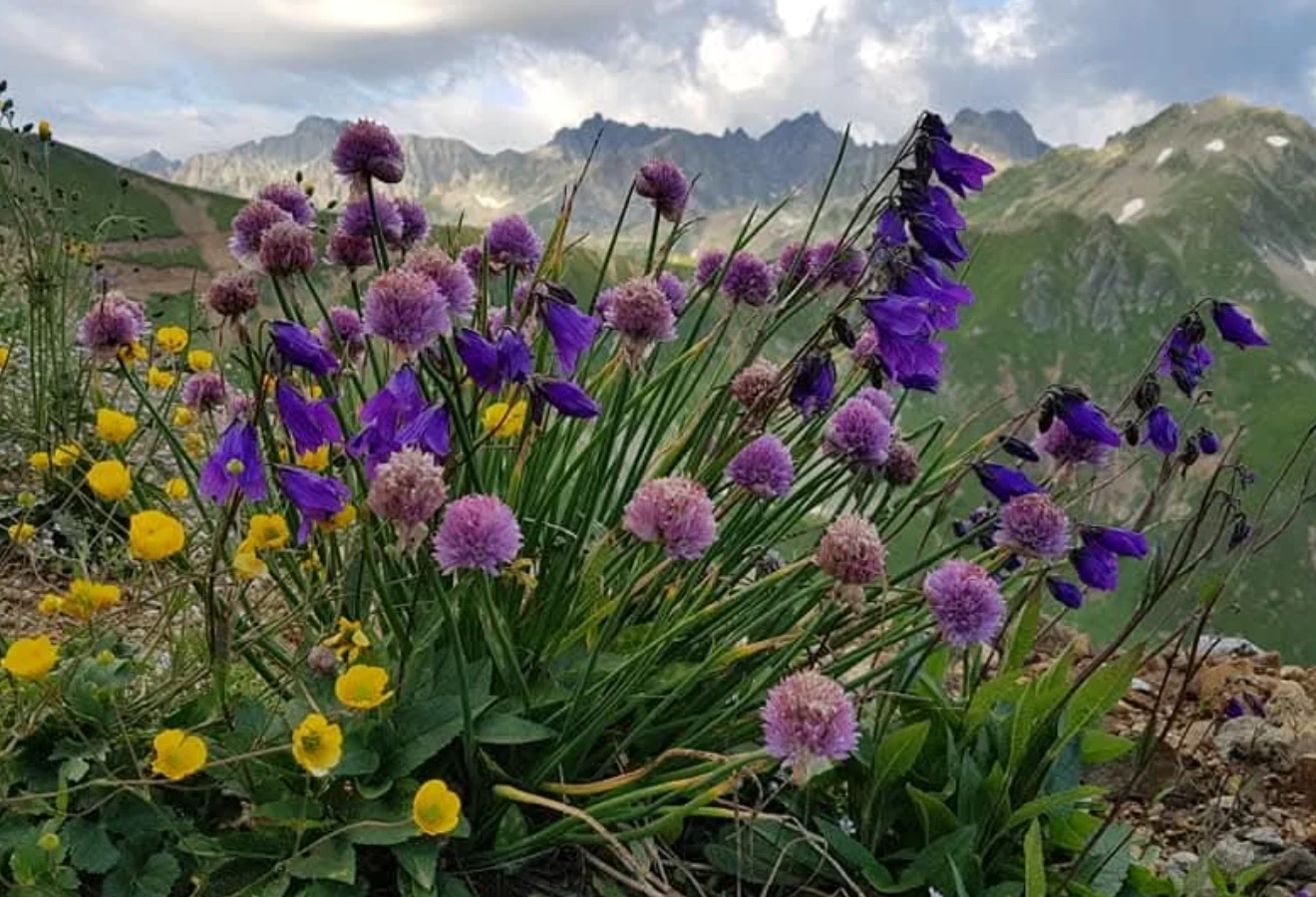 KARÇAL DAĞLARI KEŞİF ROTASI  - Fotoğraf 21