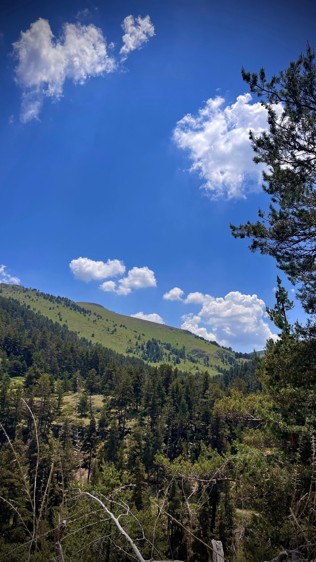 Köroğlu Mountain Summit Activity - Fotoğraf 5
