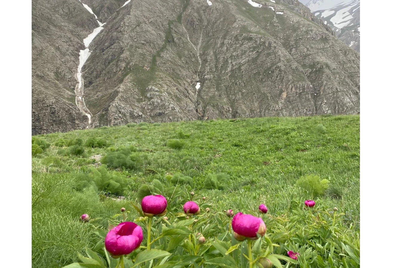 JOURNEY TO THE CULTURE AND GEOGRAPHY OF DERSIM - Fotoğraf 5