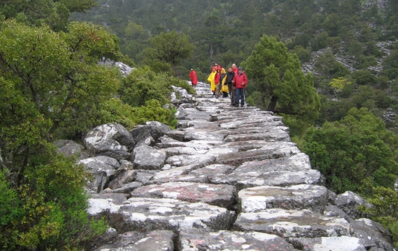 ST. PAUL YOLU Türkçe