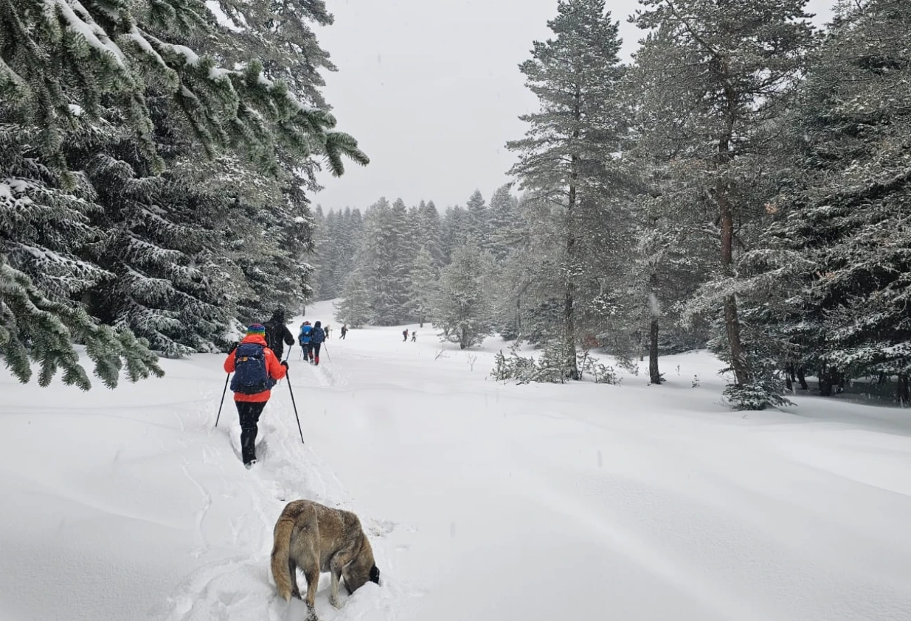 WHITE DREAM KUZUYAYLA KARTEPE SPORTIVE NATURE WALK - Fotoğraf 4