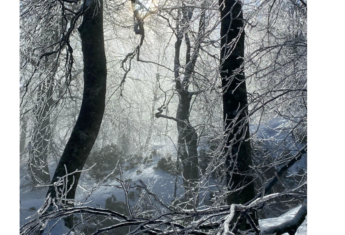 ERCUVA-İNÖNÜ-SAKLIYAYLA YAYLALAR GEÇİŞİ   - Fotoğraf 3