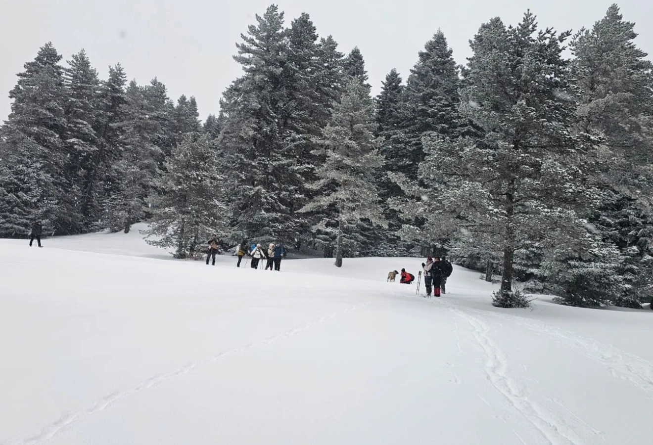 WHITE DREAM KUZUYAYLA KARTEPE SPORTIVE NATURE WALK - Fotoğraf 5