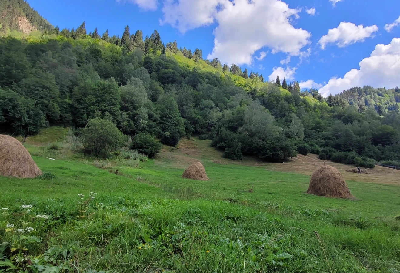 SVANETİ - MESTİA KAFKAS DAĞLARI TREKKİNG TURU - Fotoğraf 9