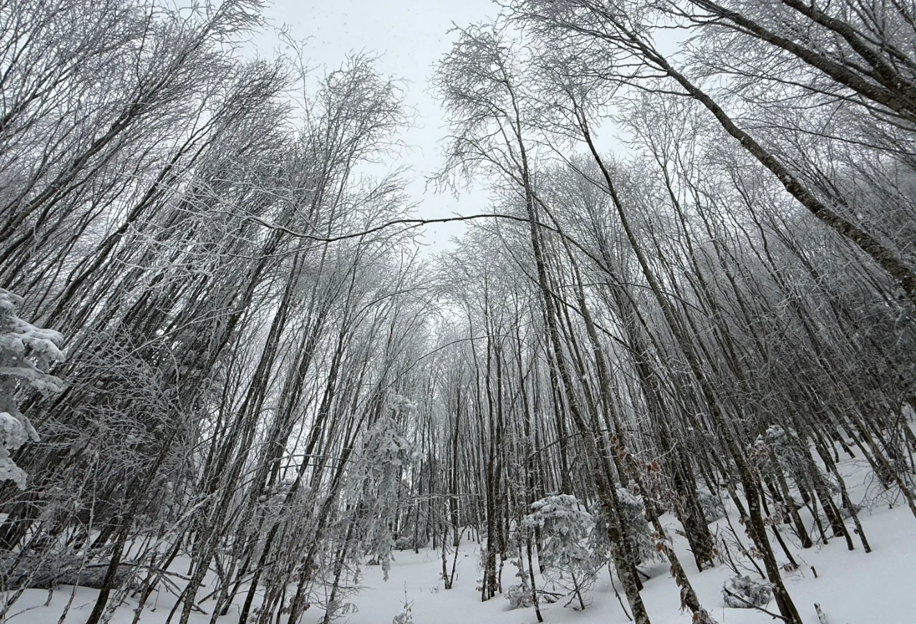 WHITE DREAM KUZUYAYLA KARTEPE SPORTIVE NATURE WALK - Fotoğraf 14