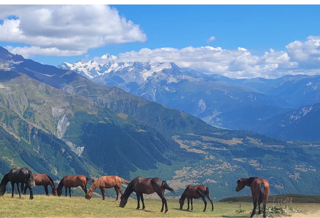SVANETİ - MESTİA KAFKAS DAĞLARI TREKKİNG TURU - Fotoğraf 1