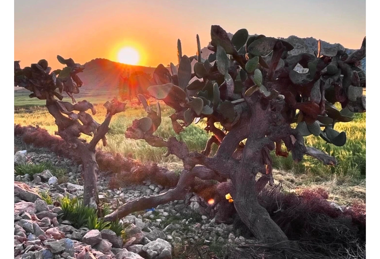 KARİA YOLU – BOZBURUN ETABI - Fotoğraf 14