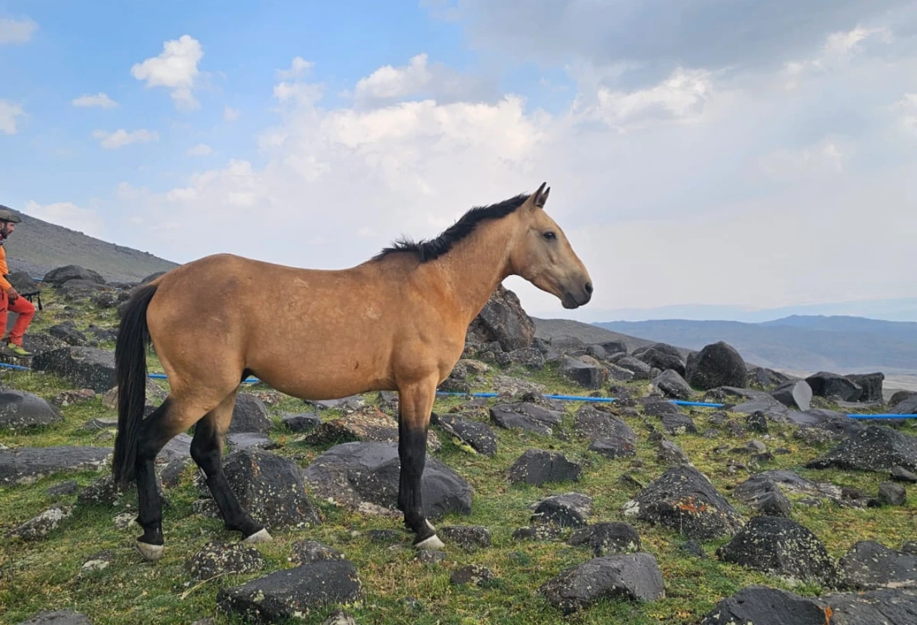 AĞRI DAĞI ZİRVE - Fotoğraf 21