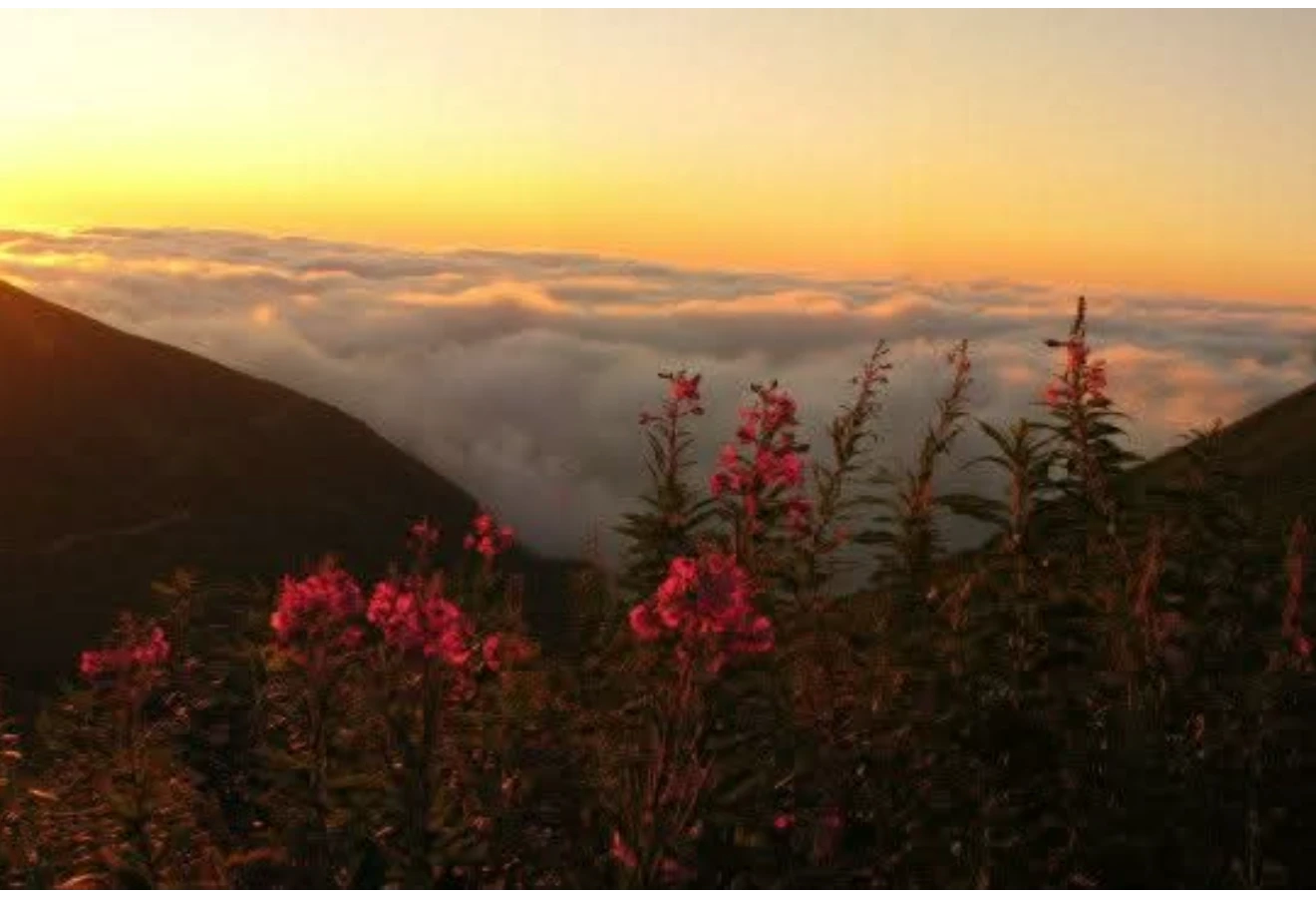 KARÇAL DAĞLARI KEŞİF ROTASI  - Fotoğraf 4