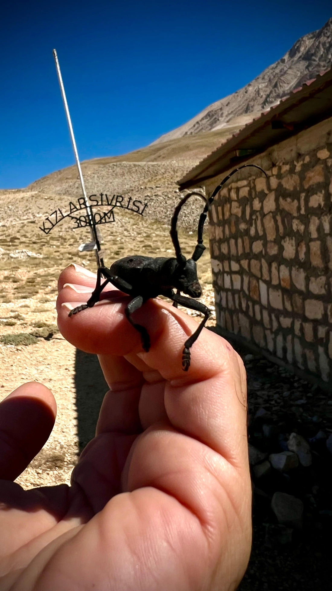  Kızlar Sivrisi Summit Activity - Fotoğraf 4
