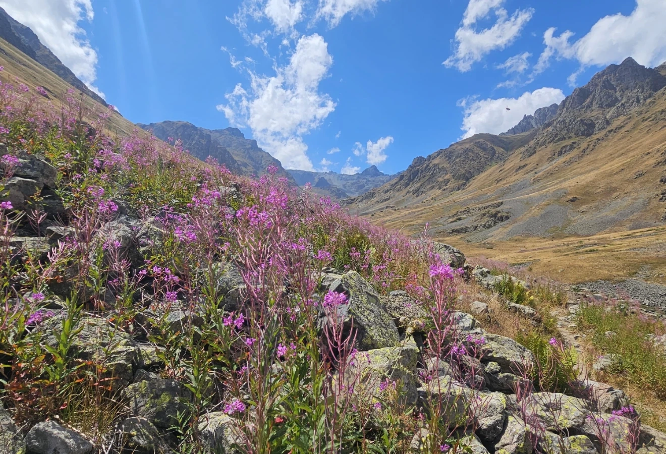 KAÇKAR YAYLALARI TREKKİNG TURU  - Fotoğraf 9