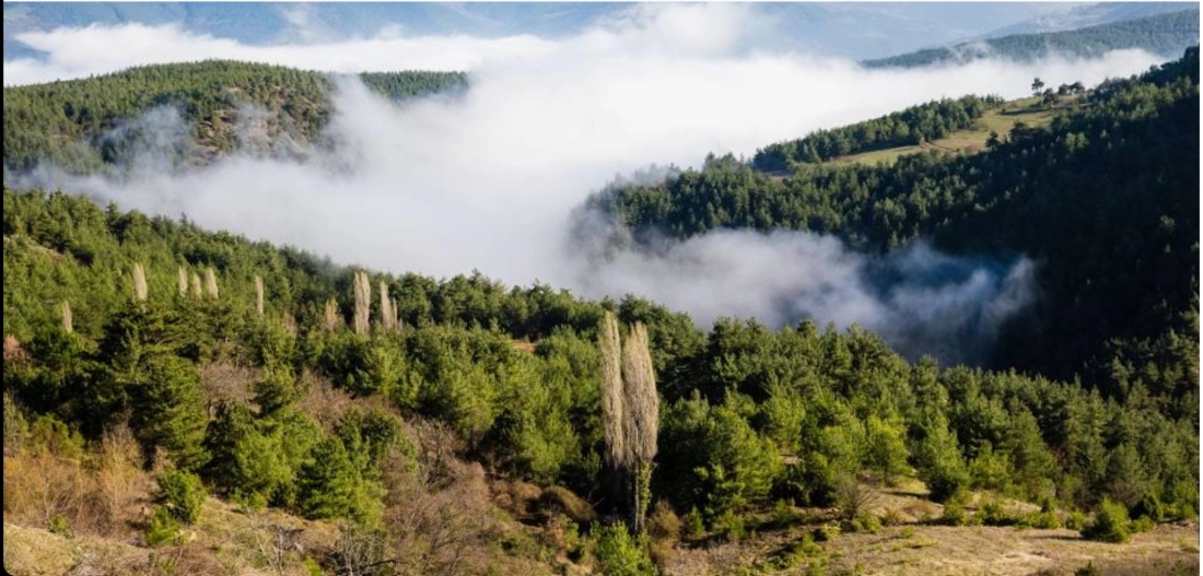 Köroğlu Mountain Summit Activity - Fotoğraf 8